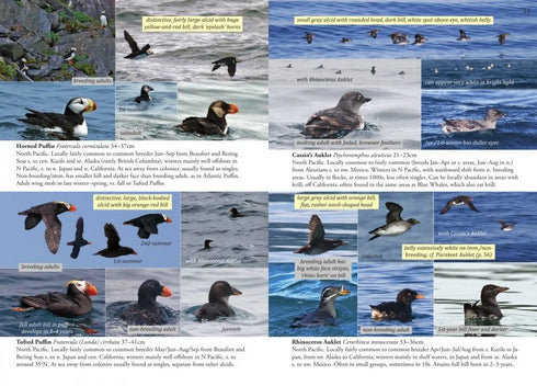 Oceanic Birds of the World, A Photo Guide - Howell, S. N. G. ym. 2019